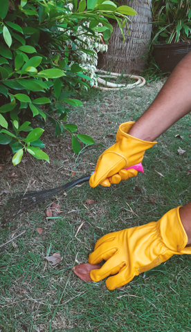garden gloves